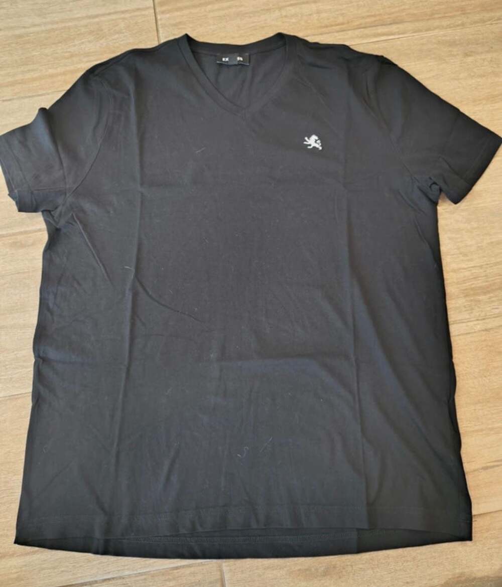 Express Small Lion V-Neck T-Shirt Black